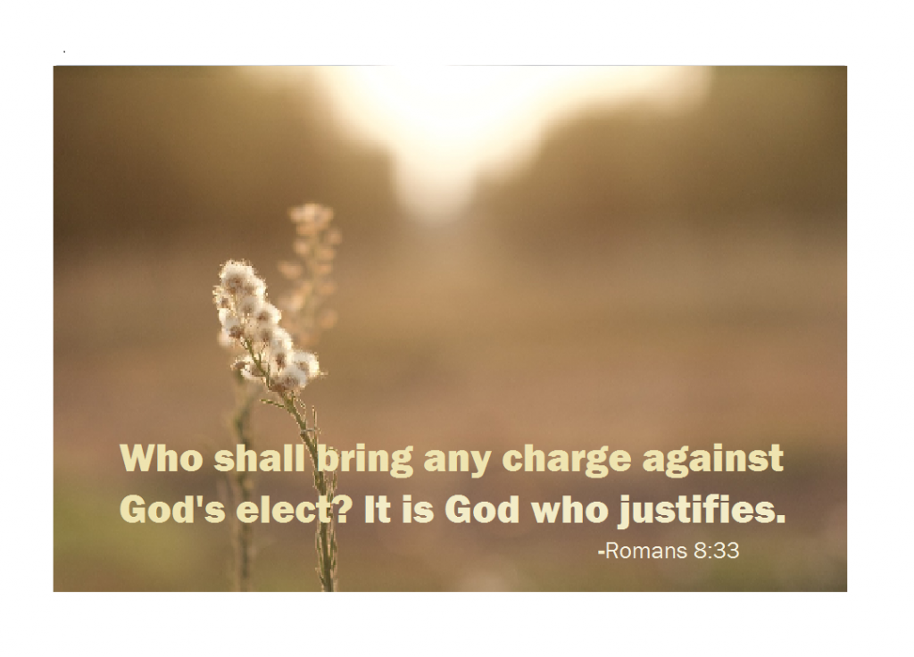 Those Whom He Called, He Also Justified