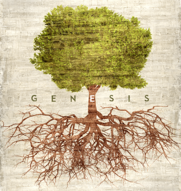 Genesis 8