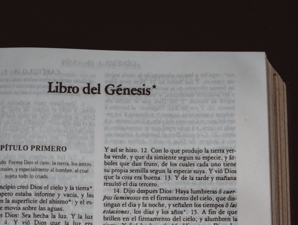 Genesis 45:1-15 “Providence, Promise, and Meaning in Suffering”