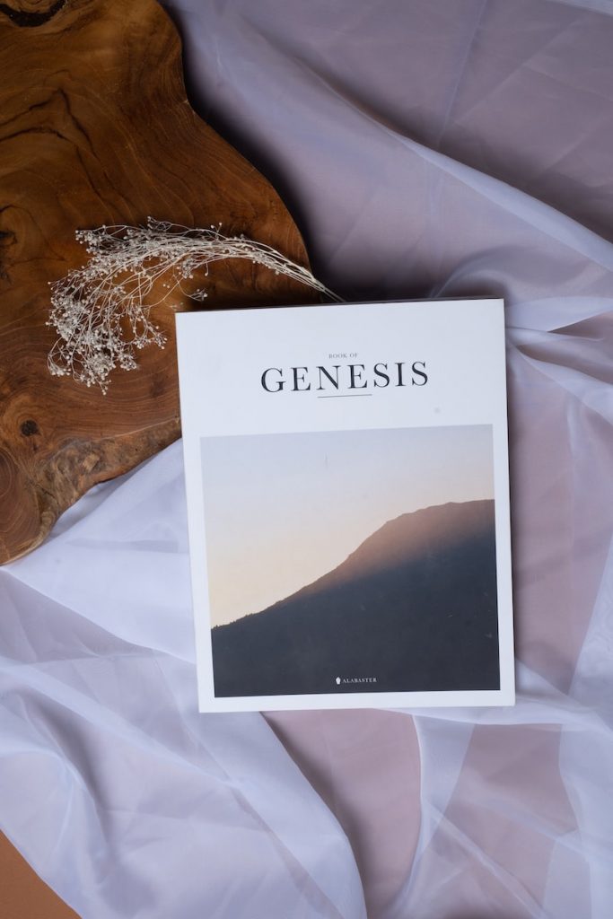 Genesis 25:19-34 “What Use is a Birthright to Me?”