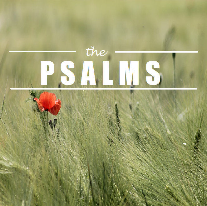 Psalm 98 “Joyful Noises”